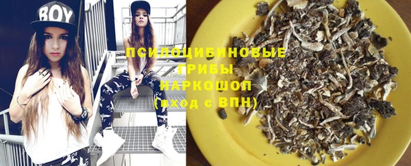 apvp Белокуриха