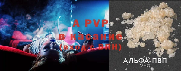 apvp Белокуриха